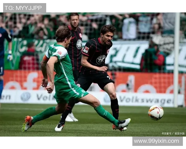 球迷如何投资德甲球队？众筹与股份模式详解